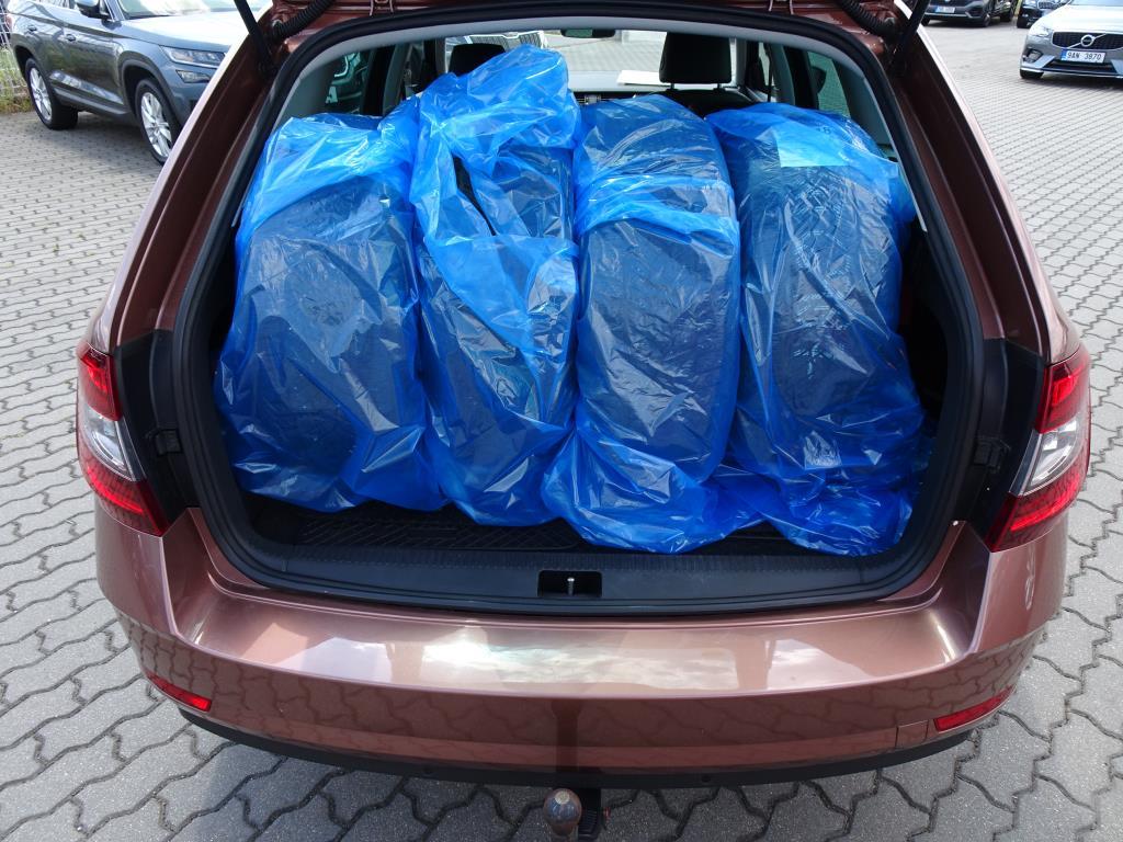 Škoda Octavia III, 2019 - pohled č. 19